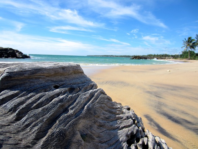 srí lanka beach
